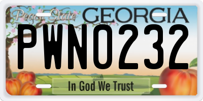 GA license plate PWN0232