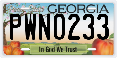 GA license plate PWN0233