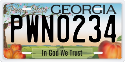 GA license plate PWN0234