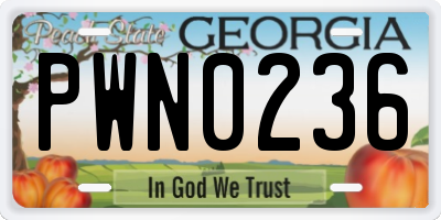 GA license plate PWN0236