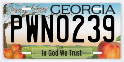 GA license plate PWN0239