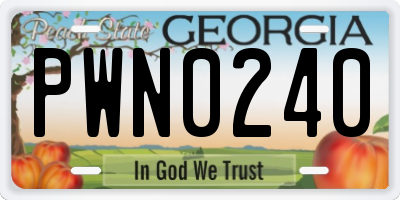 GA license plate PWN0240
