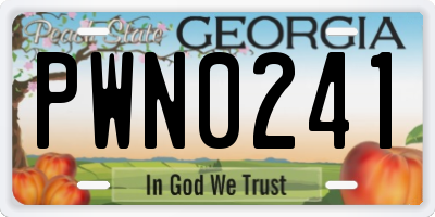GA license plate PWN0241