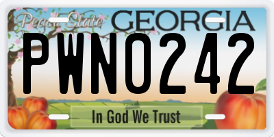 GA license plate PWN0242
