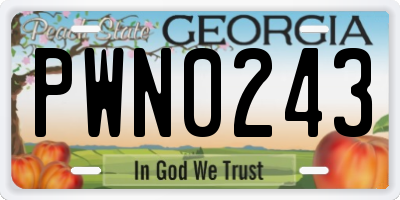 GA license plate PWN0243