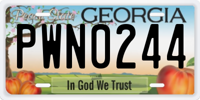 GA license plate PWN0244