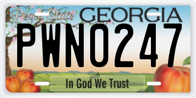 GA license plate PWN0247