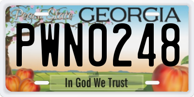 GA license plate PWN0248