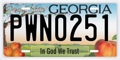 GA license plate PWN0251