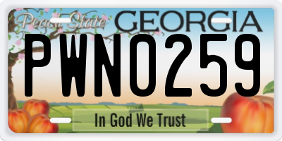 GA license plate PWN0259