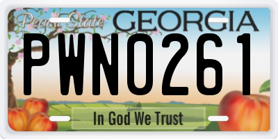 GA license plate PWN0261