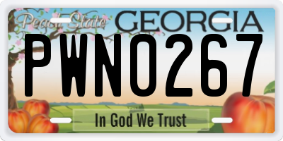 GA license plate PWN0267