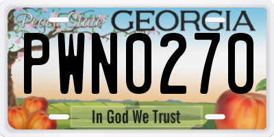 GA license plate PWN0270