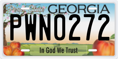 GA license plate PWN0272