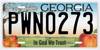 GA license plate PWN0273
