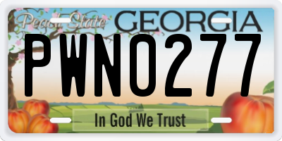 GA license plate PWN0277
