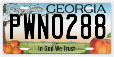 GA license plate PWN0288