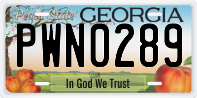 GA license plate PWN0289