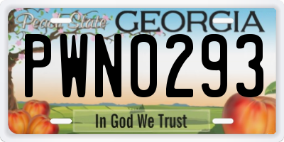 GA license plate PWN0293