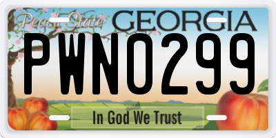 GA license plate PWN0299