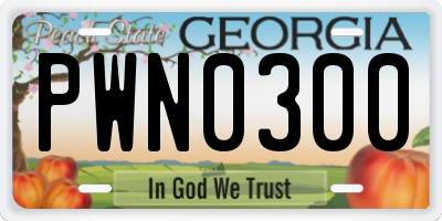 GA license plate PWN0300