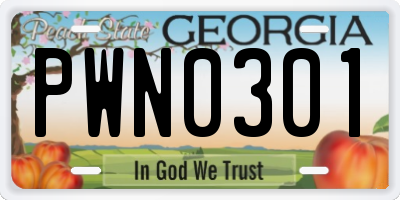 GA license plate PWN0301