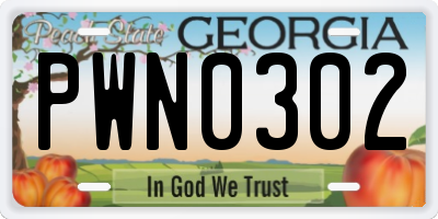 GA license plate PWN0302