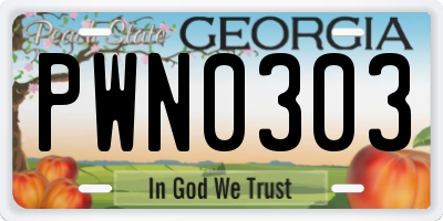 GA license plate PWN0303