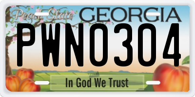 GA license plate PWN0304