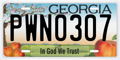 GA license plate PWN0307