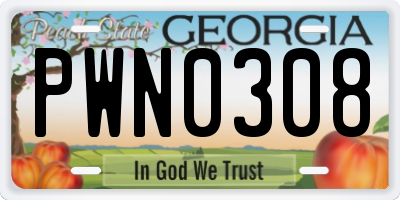 GA license plate PWN0308