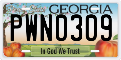 GA license plate PWN0309