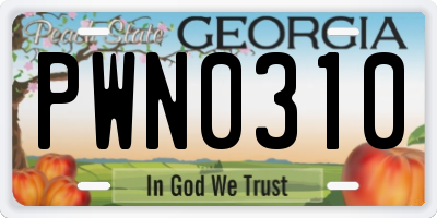 GA license plate PWN0310