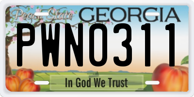 GA license plate PWN0311