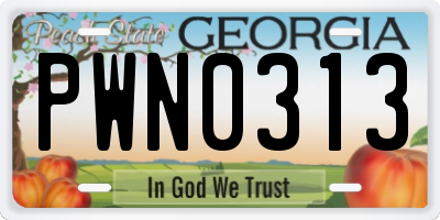 GA license plate PWN0313