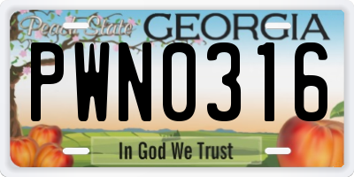 GA license plate PWN0316