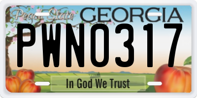 GA license plate PWN0317