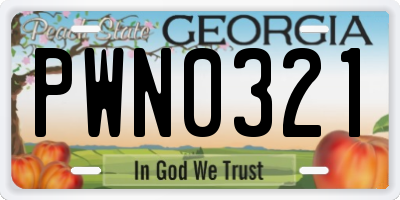 GA license plate PWN0321