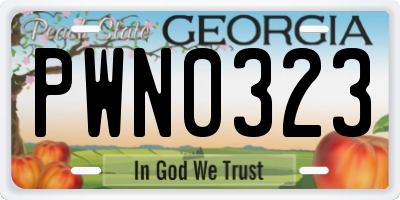 GA license plate PWN0323