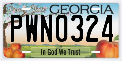 GA license plate PWN0324