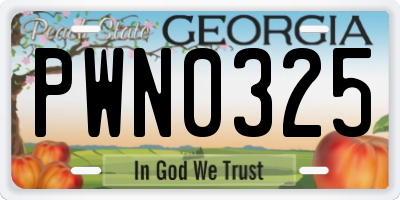 GA license plate PWN0325
