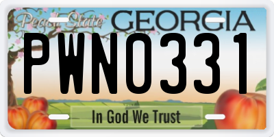 GA license plate PWN0331