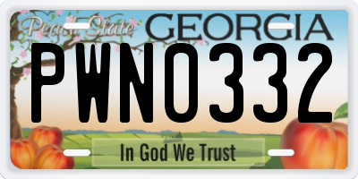 GA license plate PWN0332