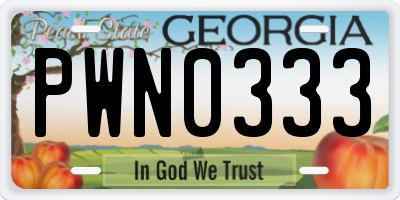 GA license plate PWN0333