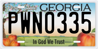GA license plate PWN0335
