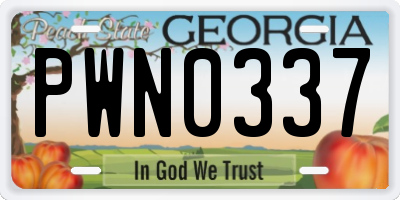GA license plate PWN0337