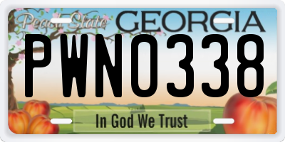 GA license plate PWN0338