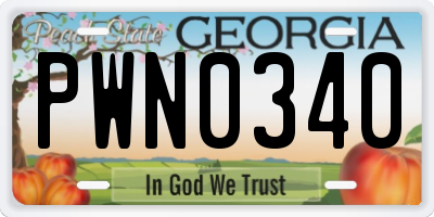 GA license plate PWN0340