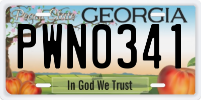 GA license plate PWN0341