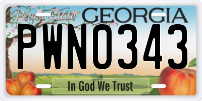 GA license plate PWN0343